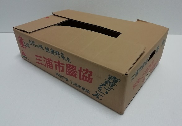 �΂߂��猩���_�ސ쌧�O�Y�����Y�卪�̒��Ã_���{�[��