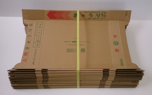 ������ӉZ�����̒��Ã_���{�[��