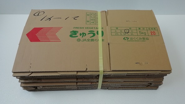 ��������イ��5kg�p���F�̒��Ã_���{�[��