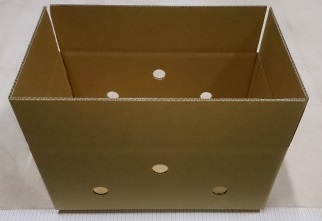 新品の耐水加工されているレタスの箱