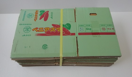 ��������܂���5kg���F�̒��Ã_���{�[��