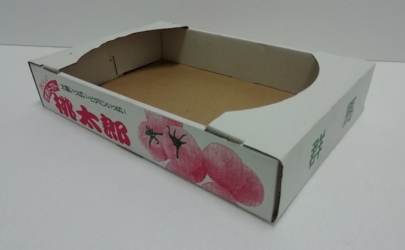 �΂߂��猩���Ƃ܂�4kg�̒��Ã_���{�[��